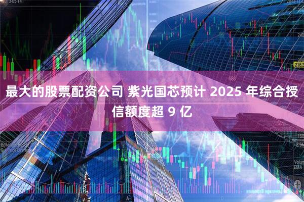 最大的股票配资公司 紫光国芯预计 2025 年综合授信额度超 9 亿
