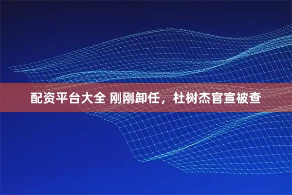 配资平台大全 刚刚卸任，杜树杰官宣被查