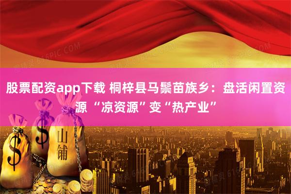 股票配资app下载 桐梓县马鬃苗族乡:盘活闲置资源 “凉资源”变“热产业”